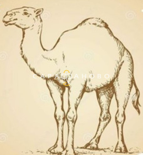 Ткань Тик 100% хлопок 220 см набивной диз Camel 3 Премиум М, фото 1